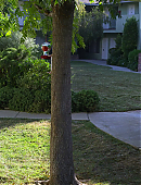Filename=Unbelievable_1x01_4150.jpg
Filesize=438KiB
Dimensions=1920x960
Date added=07.27.25 Unbelievable_1x01_4150.jpg