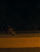 Filename=Unbelievable_1x01_4743.jpg
Filesize=108KiB
Dimensions=1920x960
Date added=07.27.25 Unbelievable_1x01_4743.jpg