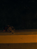 Filename=Unbelievable_1x01_4744.jpg
Filesize=113KiB
Dimensions=1920x960
Date added=07.27.25 Unbelievable_1x01_4744.jpg