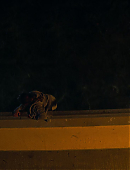 Filename=Unbelievable_1x01_4745.jpg
Filesize=106KiB
Dimensions=1920x960
Date added=07.27.25 Unbelievable_1x01_4745.jpg