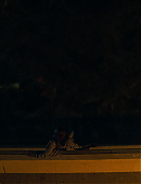 Filename=Unbelievable_1x01_4749.jpg
Filesize=92KiB
Dimensions=1920x960
Date added=07.27.25 Unbelievable_1x01_4749.jpg