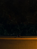 Unbelievable_1x01_4762.jpg