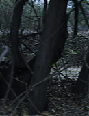 Filename=Unbelievable_1x02_3384.jpg
Filesize=205KiB
Dimensions=1920x960
Date added=08.02.25 Unbelievable_1x02_3384.jpg