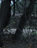 Filename=Unbelievable_1x02_3385.jpg
Filesize=210KiB
Dimensions=1920x960
Date added=08.02.25 Unbelievable_1x02_3385.jpg
