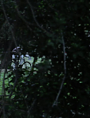 Filename=Unbelievable_1x02_3390.jpg
Filesize=199KiB
Dimensions=1920x960
Date added=08.02.25 Unbelievable_1x02_3390.jpg